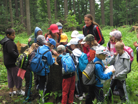 2AZalesnimistrasidylky (24)